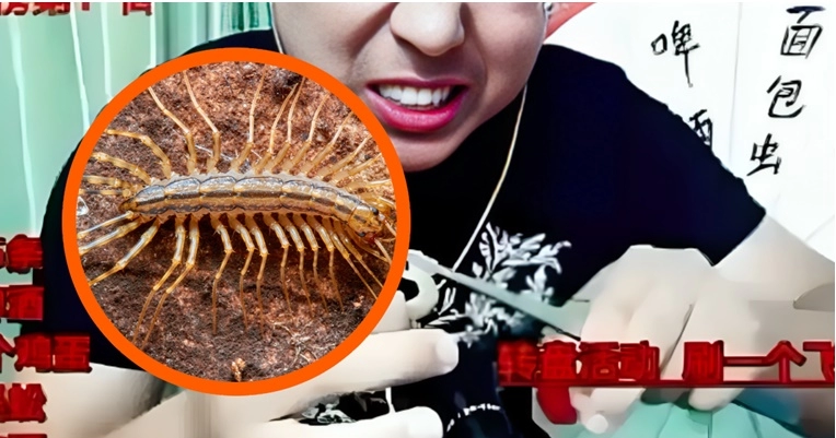 Influencer umro tijekom live streama dok je jeo stonoge i guštere